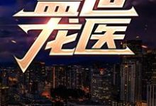盖世龙医小说的免费电子版在哪里可以下载或阅读？-经典文学