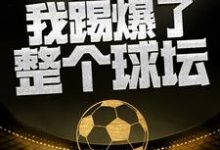 已完结小说《这一脚，我踢爆了整个球坛》在线章节阅读-经典文学