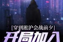 穿到淞沪会战前夕,开局加入黑风寨这本小说怎么样?免费在线阅读试试-经典文学