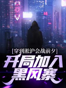 穿到淞沪会战前夕，开局加入黑风寨这本小说怎么样？免费在线阅读试试