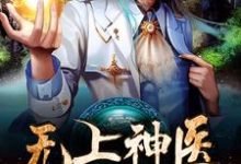 无上神医叶漠林芊芊陈敏沐灵犀小说免费阅读-经典文学