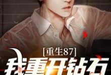 重生87:我重开钻石王老五副本陈兴邦苏静小说免费阅读-经典文学