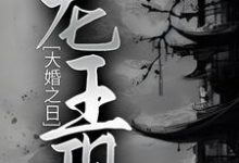 《大婚之日，龙王现》小说主角林见鹿龙冥渊章节章节免费在线阅读-经典文学