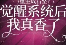 小说《重生成石坚?觉醒系统我后真香了》在线章节阅读-经典文学