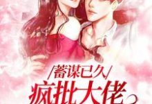 主人公叫杜云笙周极的小说哪里免费看-经典文学