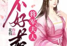 已完结小说《将军夫人不好惹》章节免费阅读-经典文学