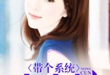 哪里能找到带个系统去农村小说的全部章节?-经典文学