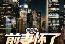 小说《离婚后,前妻怀了我的孩子》章节免费阅读-经典文学