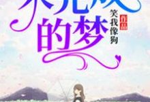 完整版的未完成的梦小说在哪里可以免费读到？-经典文学