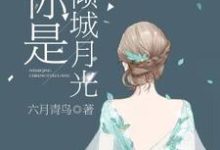 你是倾城月光这本小说完结了吗?免费查看最新章节-经典文学