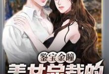 求推荐可以免费阅读鉴宝金瞳:美女总裁的贴身鉴宝师小说的网站-经典文学