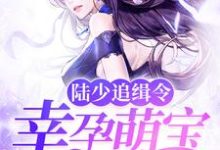 免费在线阅读陆少追缉令:幸孕萌宝亿万妻小说的正规网站有哪些?-经典文学