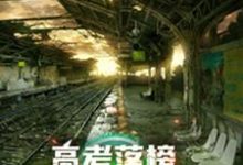 想读陈阳蒋璐璐的故事,哪里可以免费找到高考落榜,全球末日上线?-经典文学