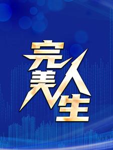 完美人生小说阅读，完美人生完结版