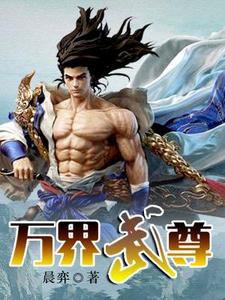 主角林枫唐初雪王境小说完结版在线阅读，万界武尊免费看