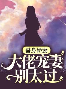 替身娇妻：大佬宠妻别太过免费阅读，替身娇妻：大佬宠妻别太过苏瓷傅南城