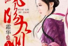 落英唐傲是哪本书的主角？凤临九州免费读-经典文学
