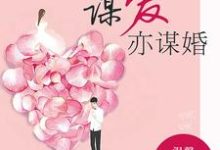 夏婉萧慕庭的小说在哪里看?免费在线阅读谋爱亦谋婚-经典文学