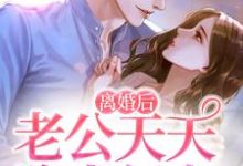 完结版《离婚后，老公天天跪求复合》章节阅读-经典文学