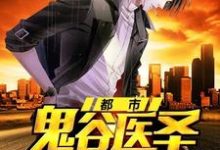 求都市鬼谷医圣小说的全文免费阅读链接-经典文学