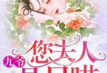 小说《九爷,您夫人是只喵》章节免费阅读-经典文学