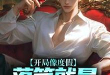小说《开局像度假，落笔就是让子弹飞？》在线章节阅读-经典文学