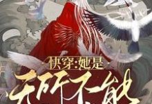 快穿:她是无所不能的神(子清)在线免费阅读-经典文学
