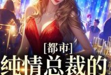 寻找都市：纯情总裁的自我攻略小说的最新更新章节-经典文学
