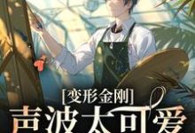 《变形金刚:声波太可爱了怎么办》小说大结局免费试读 声波小说-经典文学