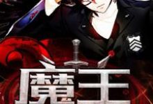 小说《魔王降临人间》章节阅读-经典文学