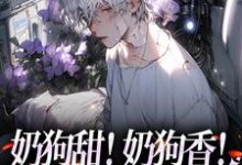 《奶狗甜！奶狗香！远胜绿茶白月光》小说主角岳蓝杉乔霍章节章节免费在线阅读-经典文学