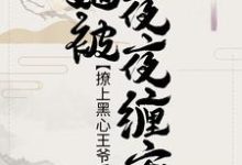 撩上黑心王爷后,她被夜夜缠宠小说的无弹窗阅读体验,寻找免费阅读网站-经典文学