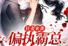求狂妻来袭，偏执霸总他沦陷了小说的全文免费阅读链接-经典文学