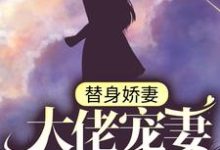替身娇妻:大佬宠妻别太过苏瓷傅南城,替身娇妻:大佬宠妻别太过在线无弹窗阅读-经典文学