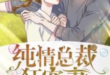 小说《纯情总裁狂宠妻》章节免费阅读-经典文学