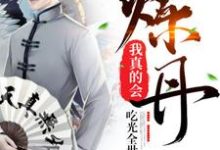 我真的会炼丹小说无弹窗阅读的网站推荐-经典文学