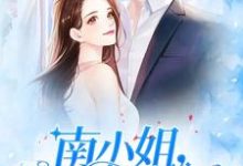 主人公叫南鱼陆少轩的小说南小姐，复婚请签字在线阅读章节-经典文学