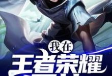 我在王者荣耀开挂小说，我在王者荣耀开挂免费阅读-经典文学