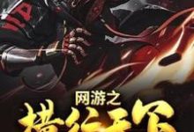完结版《网游之横行天下》章节目录在线阅读-经典文学