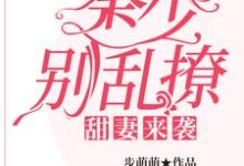 甜妻来袭:秦少,别乱撩章节免费在线阅读,方菲秦亦北完结版-经典文学