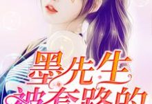 墨先生被套路的365天免费阅读，墨先生被套路的365天章节在线阅读-经典文学