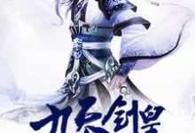 主角奇天云林雪陆晓清司马风小说九天剑皇免费阅读-经典文学