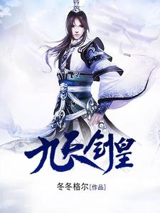 主角奇天云林雪陆晓清司马风小说九天剑皇免费阅读