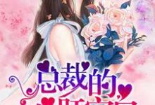 完结版《总裁的心肝宝贝》章节阅读-经典文学