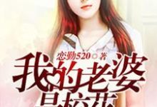 唐嵩夏慧熙为主角的小说我的老婆是校花在线阅读-经典文学