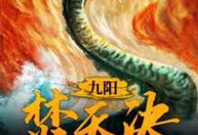 小说《九阳焚天决》章节免费阅读-经典文学
