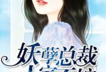 妖孽总裁,人家不嫁许静好顾岁安,妖孽总裁,人家不嫁小说免费阅读-经典文学