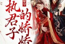寻找强取豪夺：偏执君子的娇娇小说的最新更新章节-经典文学