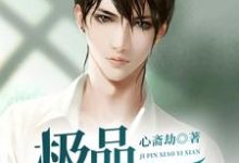 极品小仙医小说阅读，极品小仙医完结版-经典文学