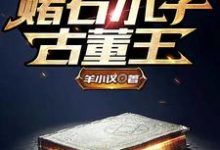 小说《赌石小子古董王》章节阅读-经典文学